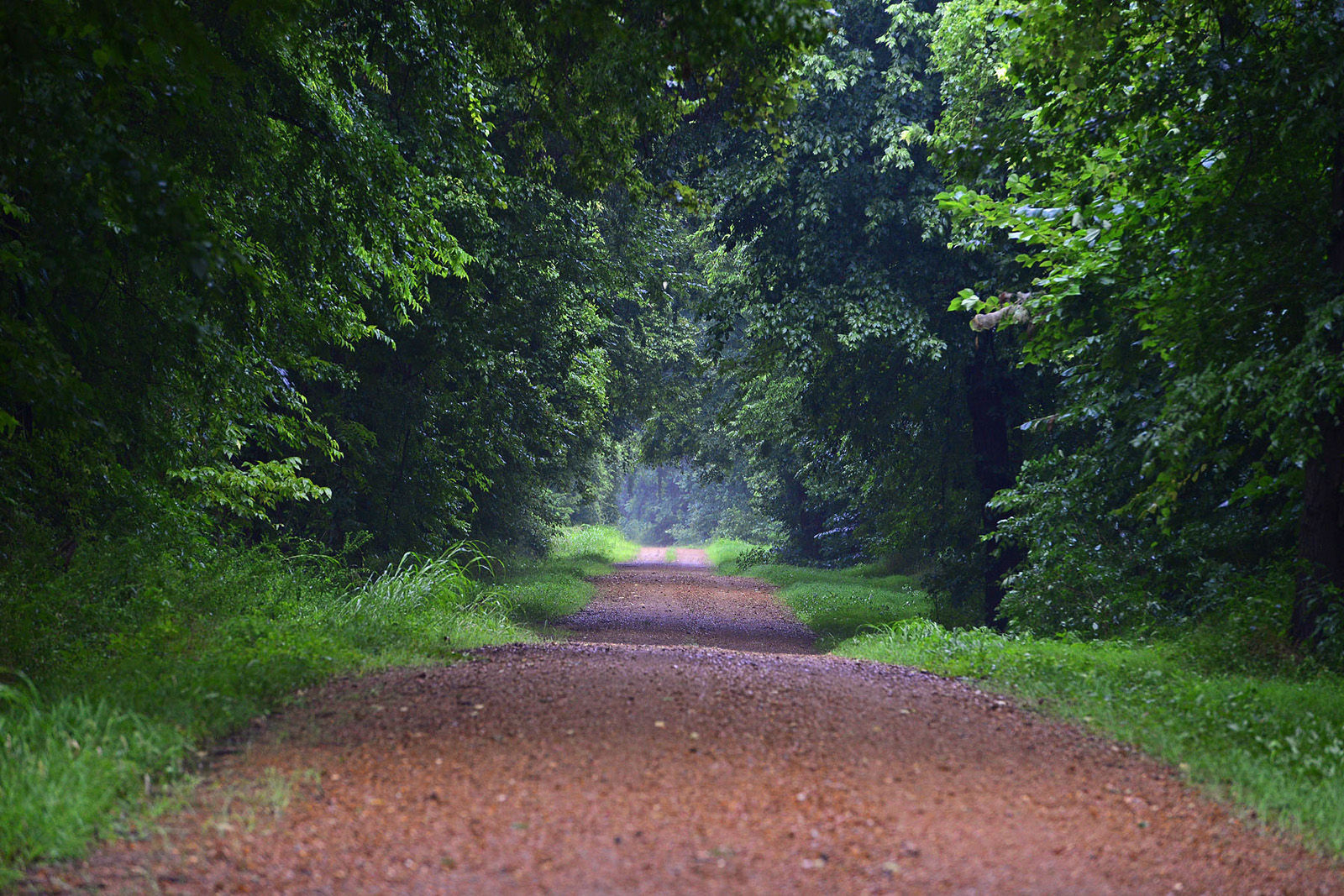 081615-nws-outtakes-road.jpg